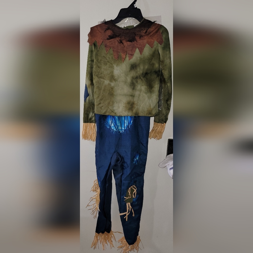 Scarecrow costume